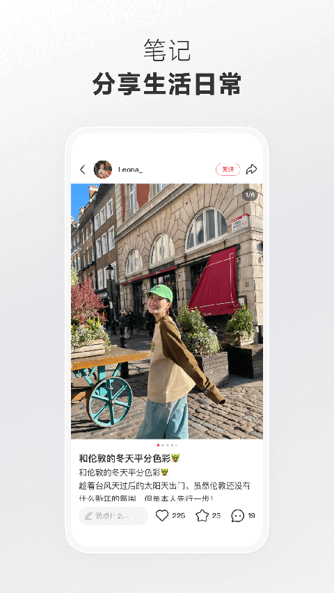 趴在绣球花丛中的蜜袋鼯打哈欠壁纸